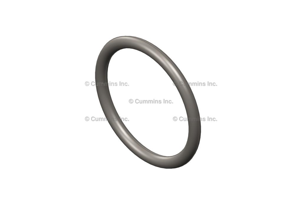 3029820, Cummins, Engine Components, SEAL, O RING - 3029820